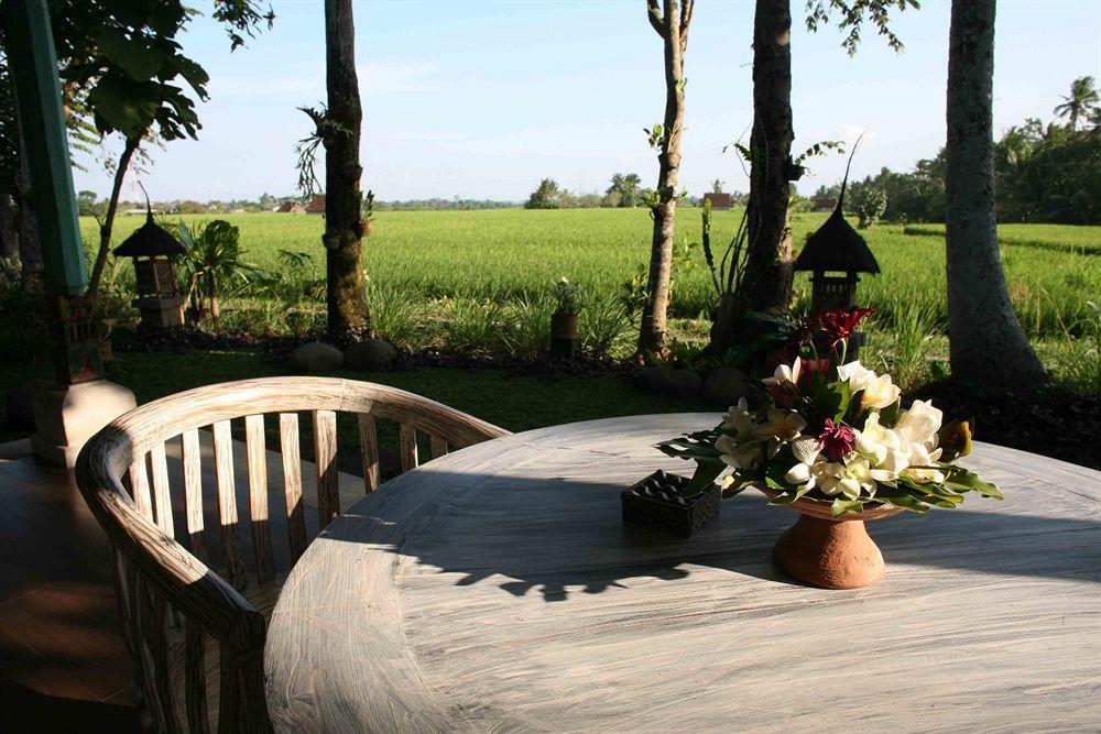 Umasari Rice Terrace Villa Selemadeg المظهر الخارجي الصورة
