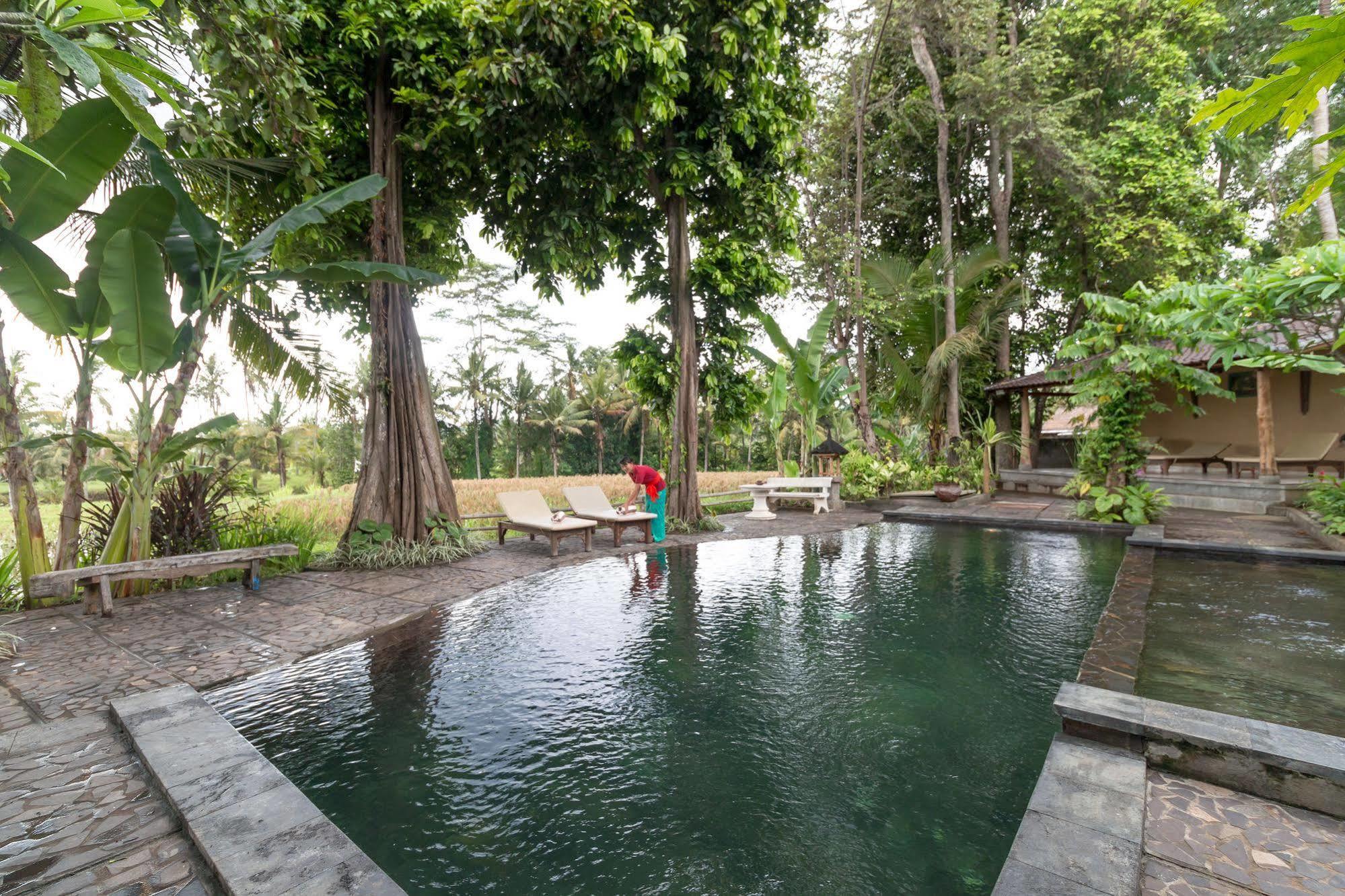 Umasari Rice Terrace Villa Selemadeg المظهر الخارجي الصورة